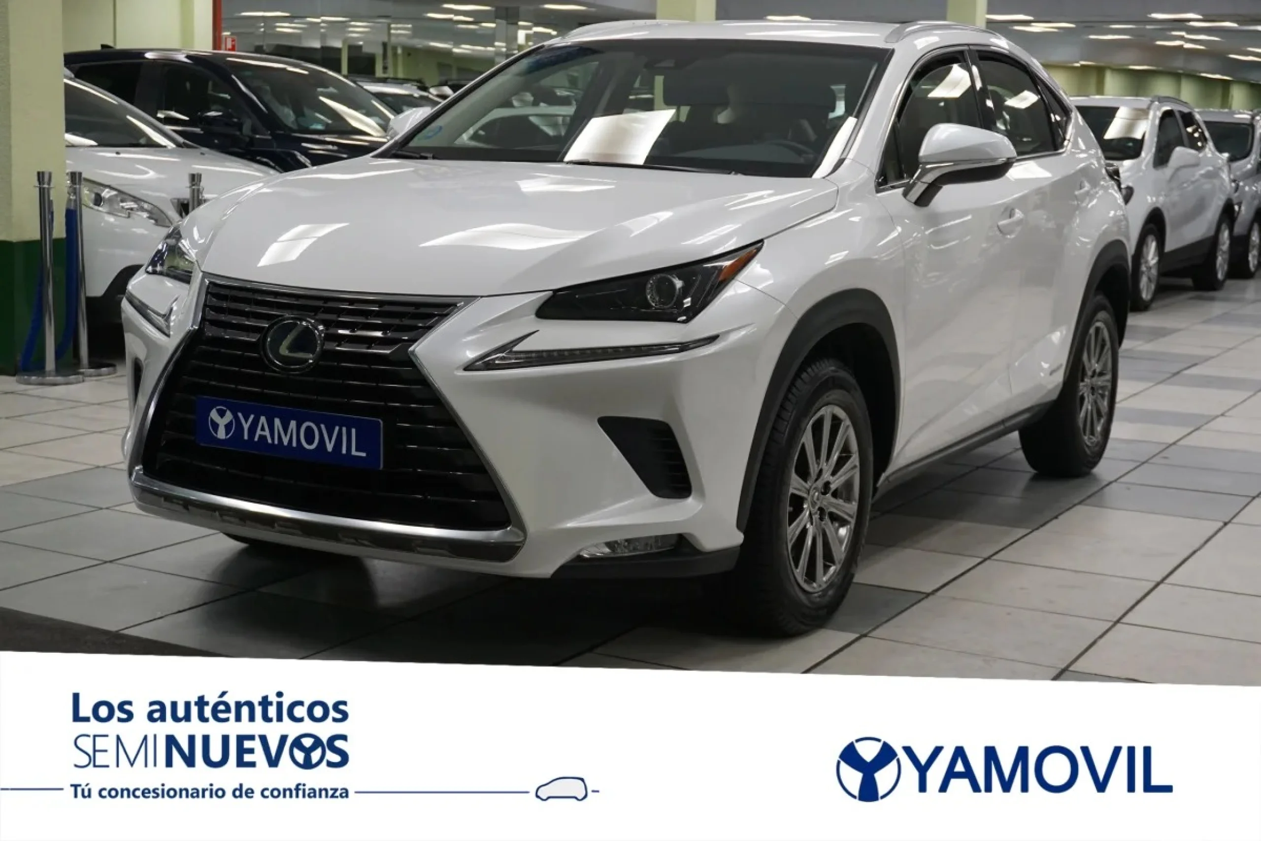 Lexus NX 300h Business Navigation 2WD 145 kW (197 CV) - Foto 1