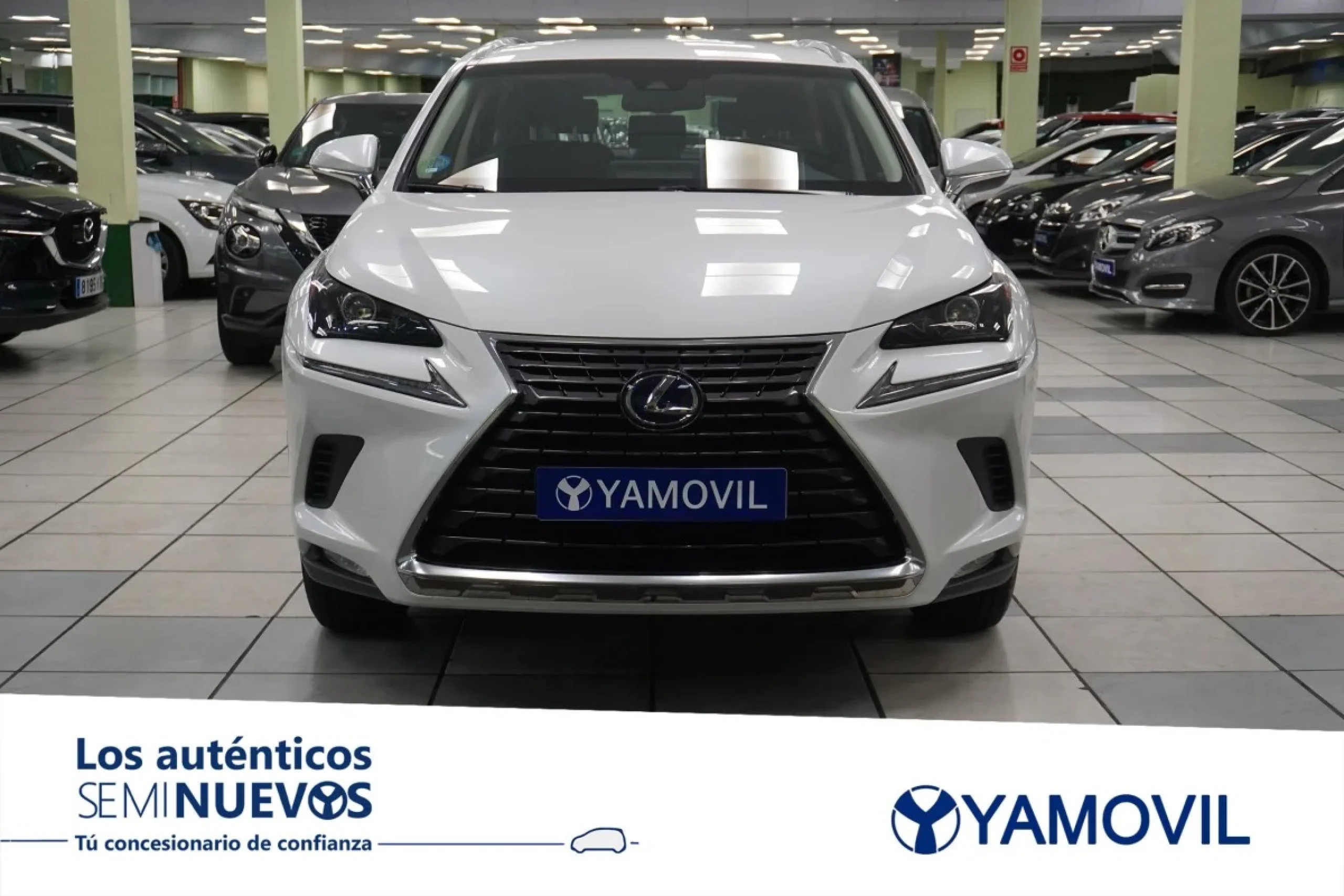 Lexus NX 300h Business Navigation 2WD 145 kW (197 CV) - Foto 2