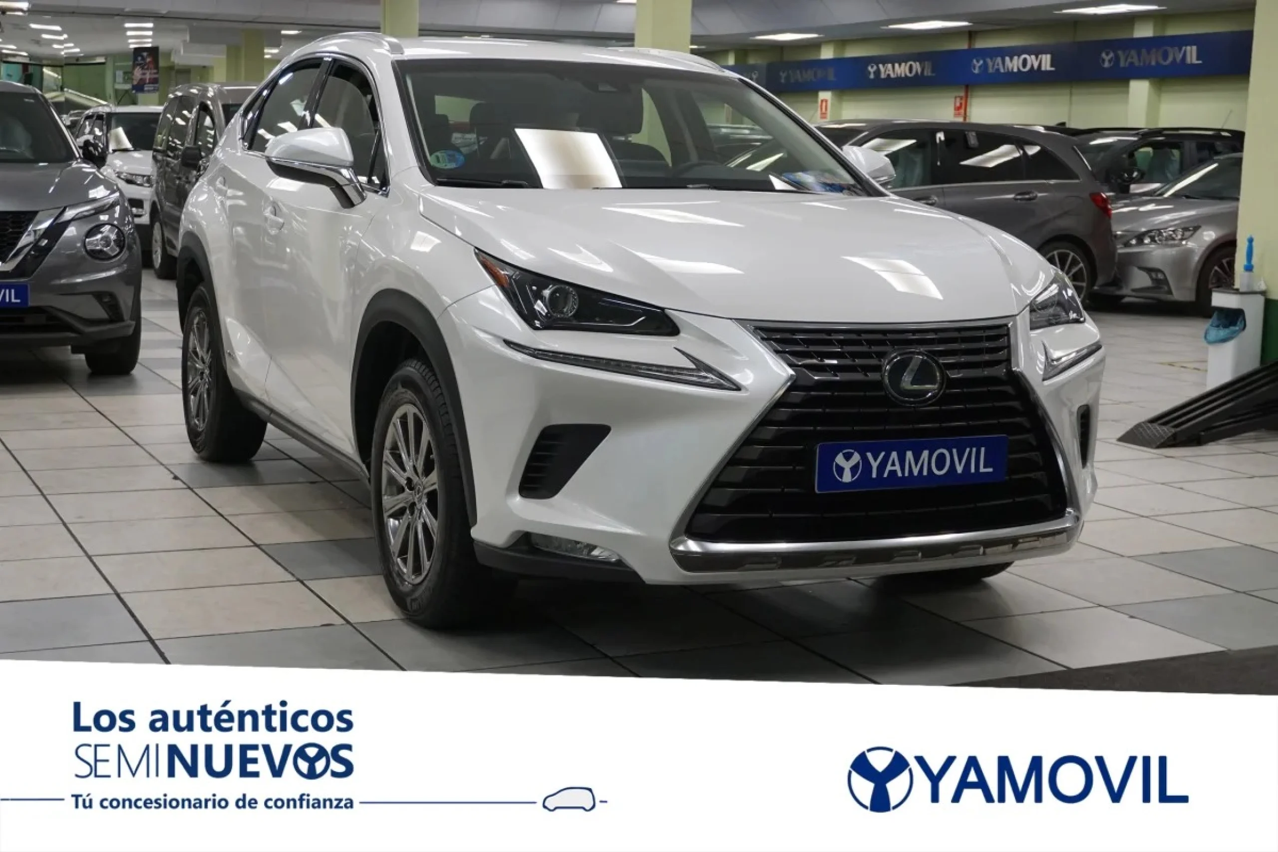 Lexus NX 300h Business Navigation 2WD 145 kW (197 CV) - Foto 3