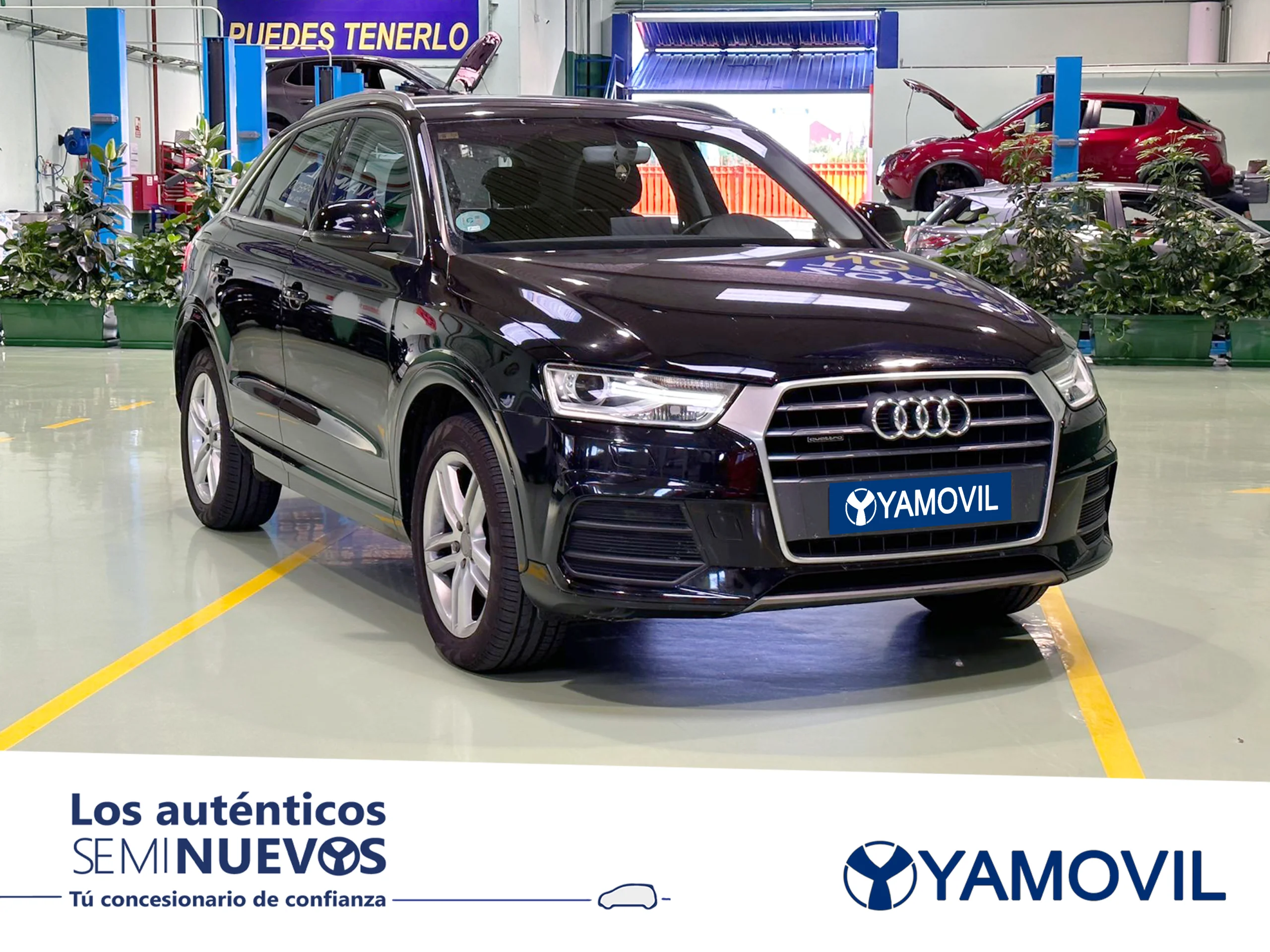 Audi Q3 sport edition 2.0 TDI quattro 110 kW (150 CV) S tronic - Foto 3