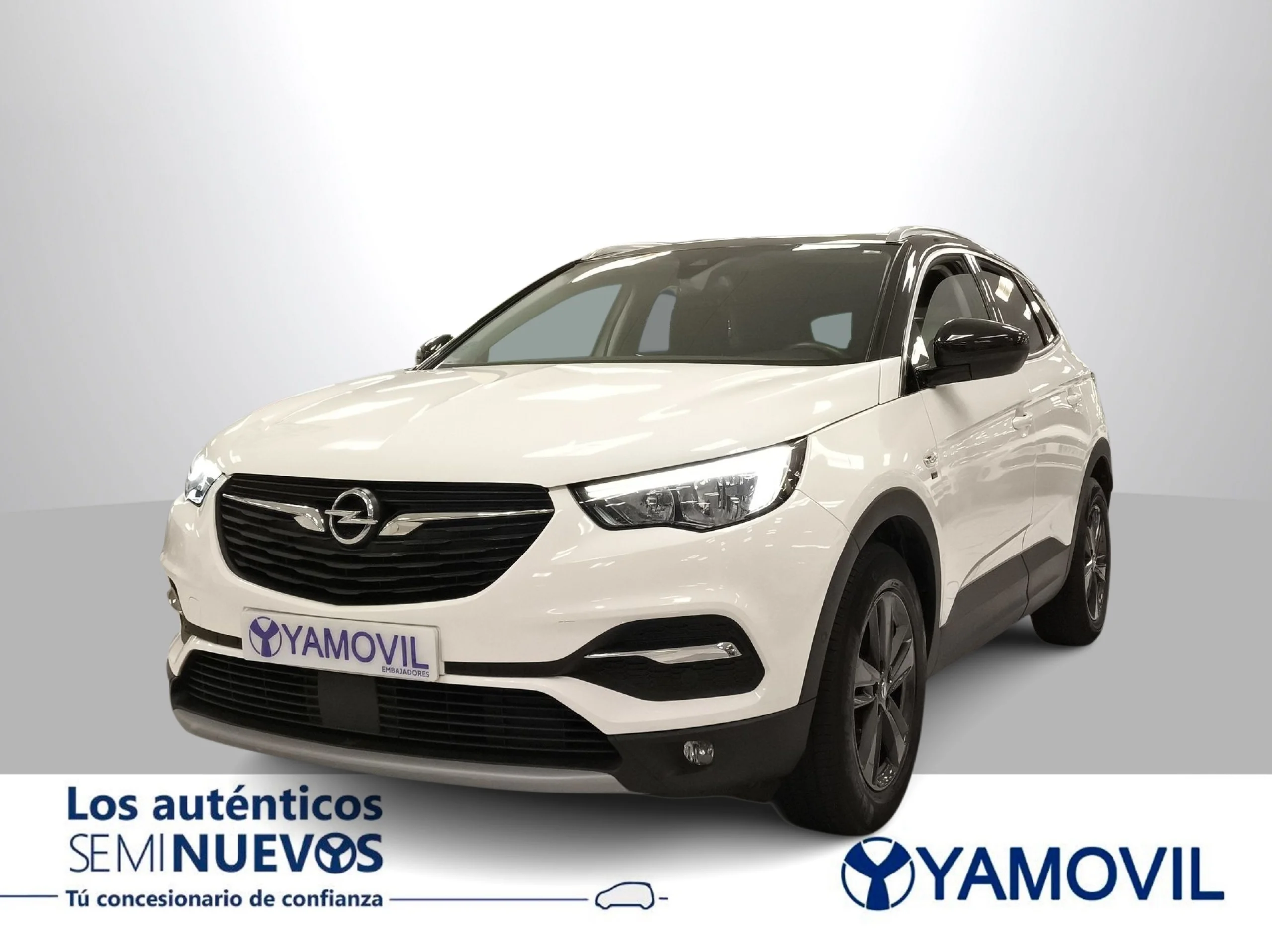Opel Grandland X 1.5 CDTi 120 Aniversario 96 kW (130 CV) - Foto 1