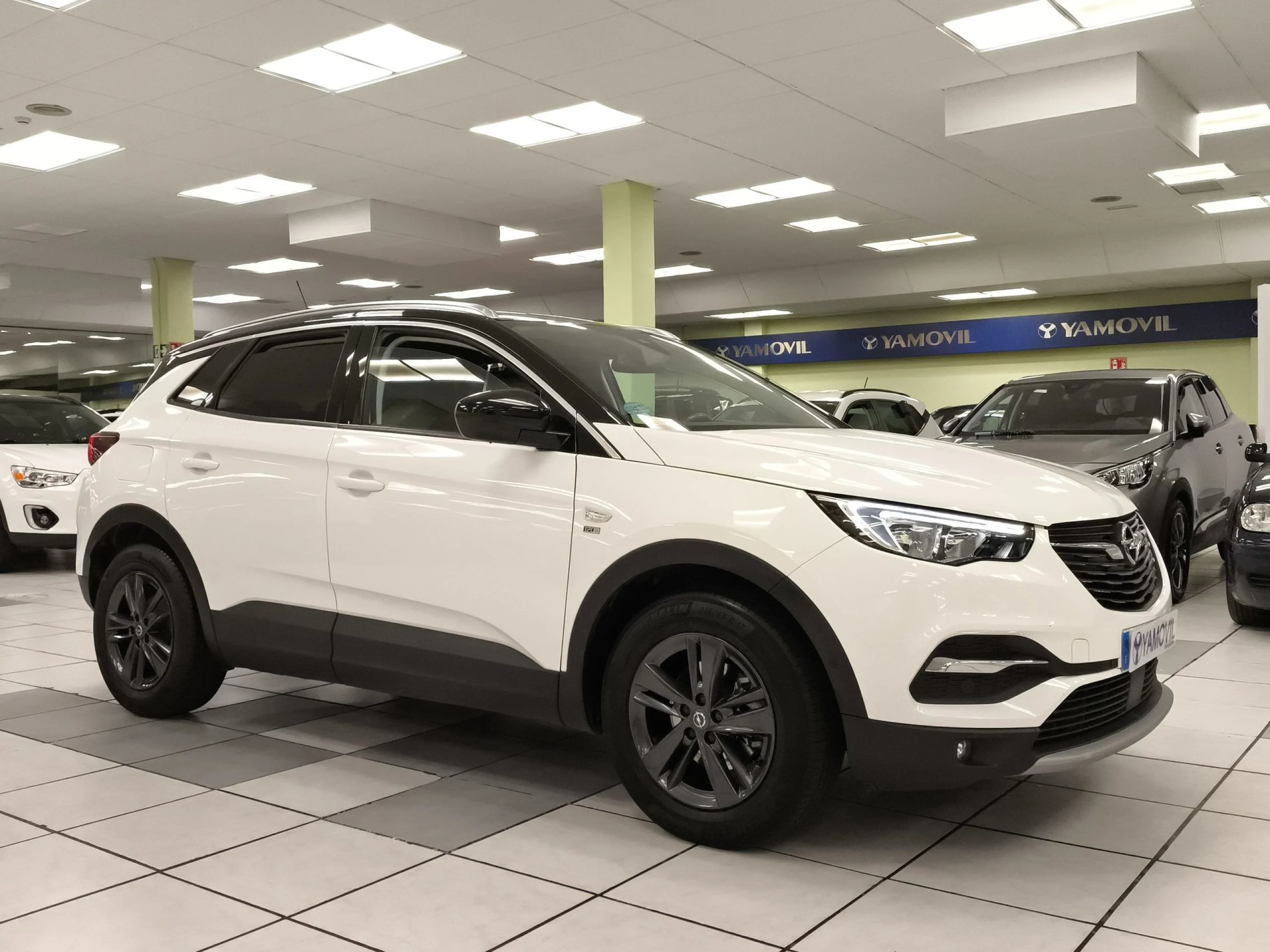 Opel Grandland X 1.5 CDTi 120 Aniversario 96 kW (130 CV) - Foto 2