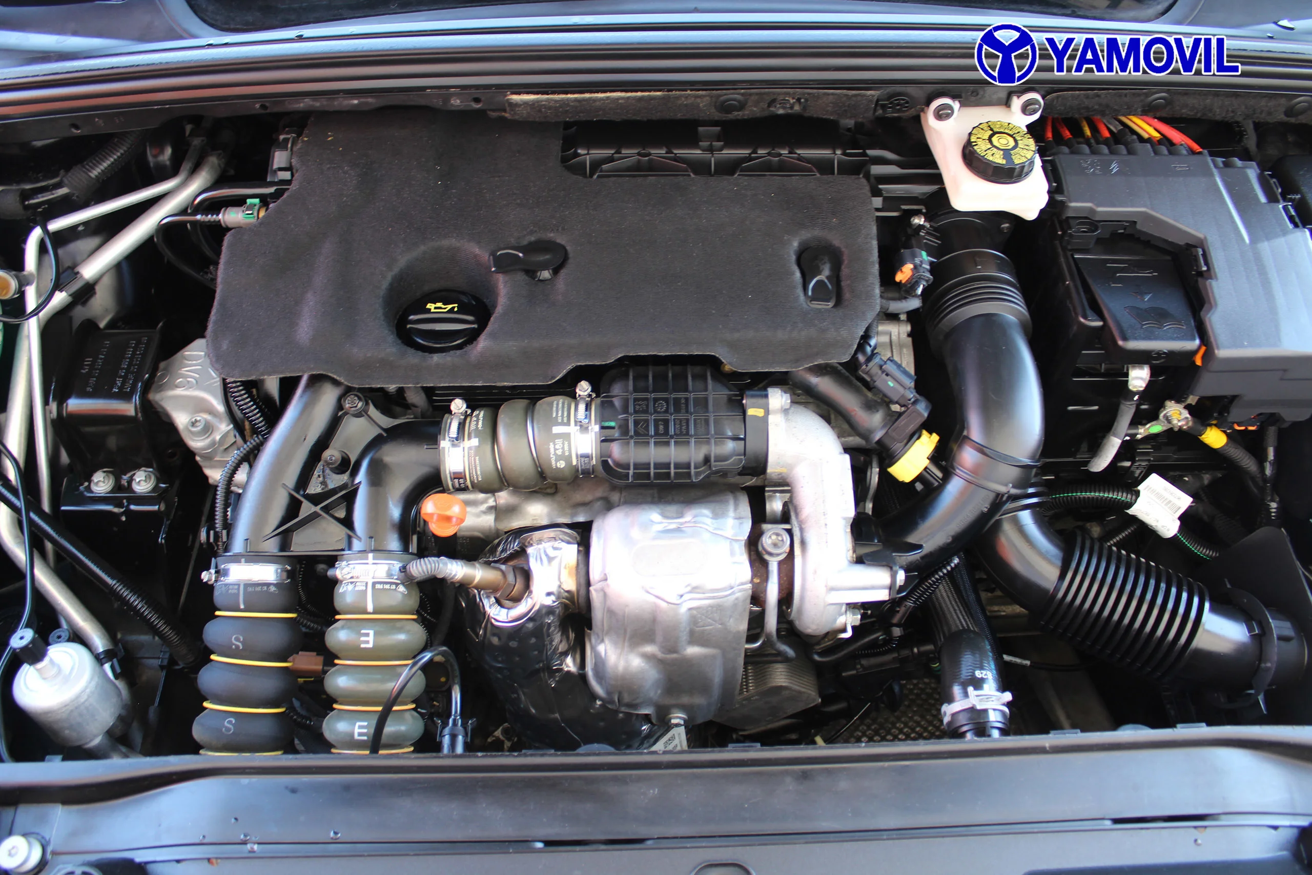 Citroen C4 1.6 HDI Collection 68 kW (92 CV) - Foto 8