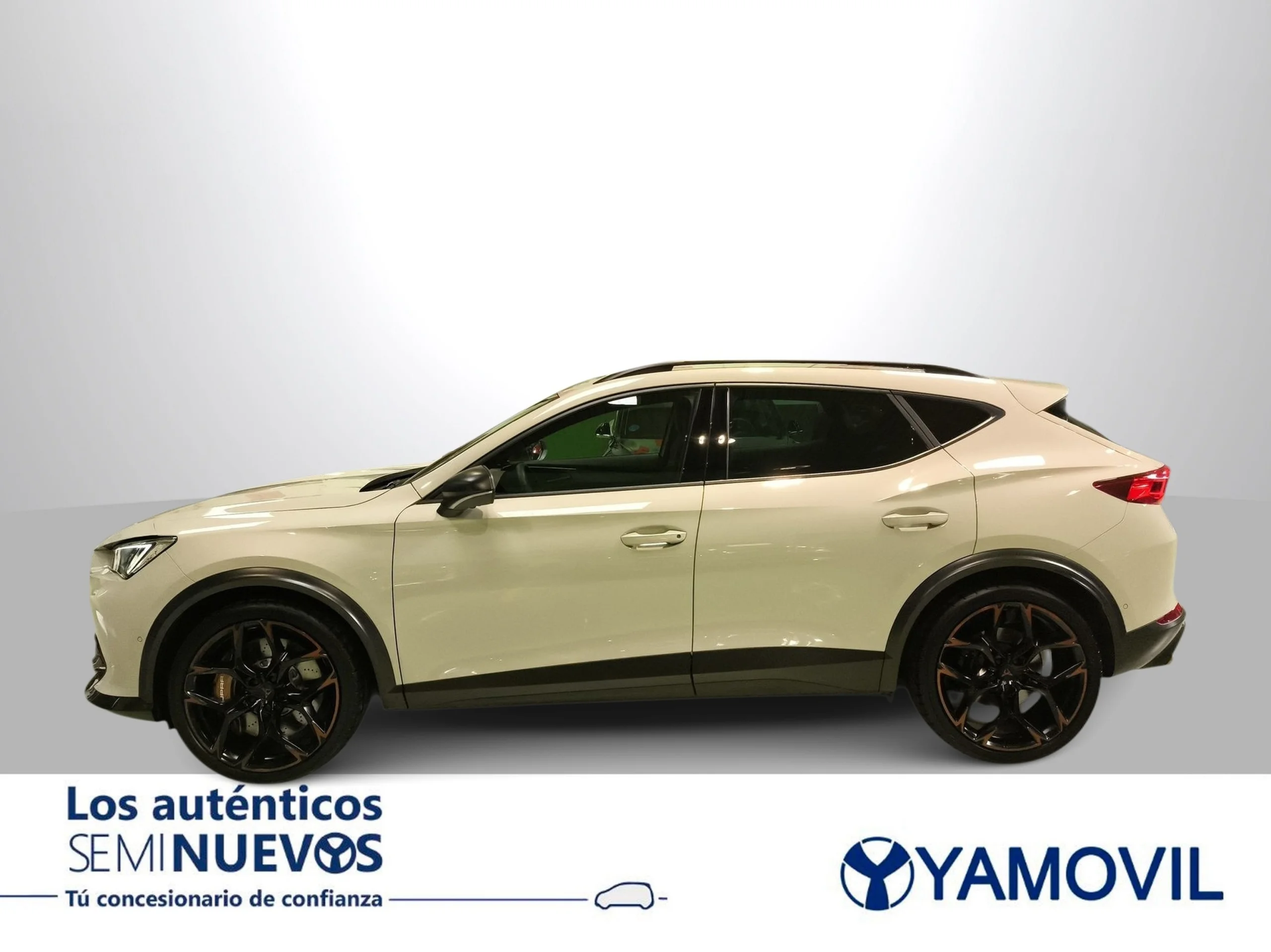 Cupra Formentor 2.5 TSI VZ5 4Drive DSG 287 kW (390 CV) - Foto 2