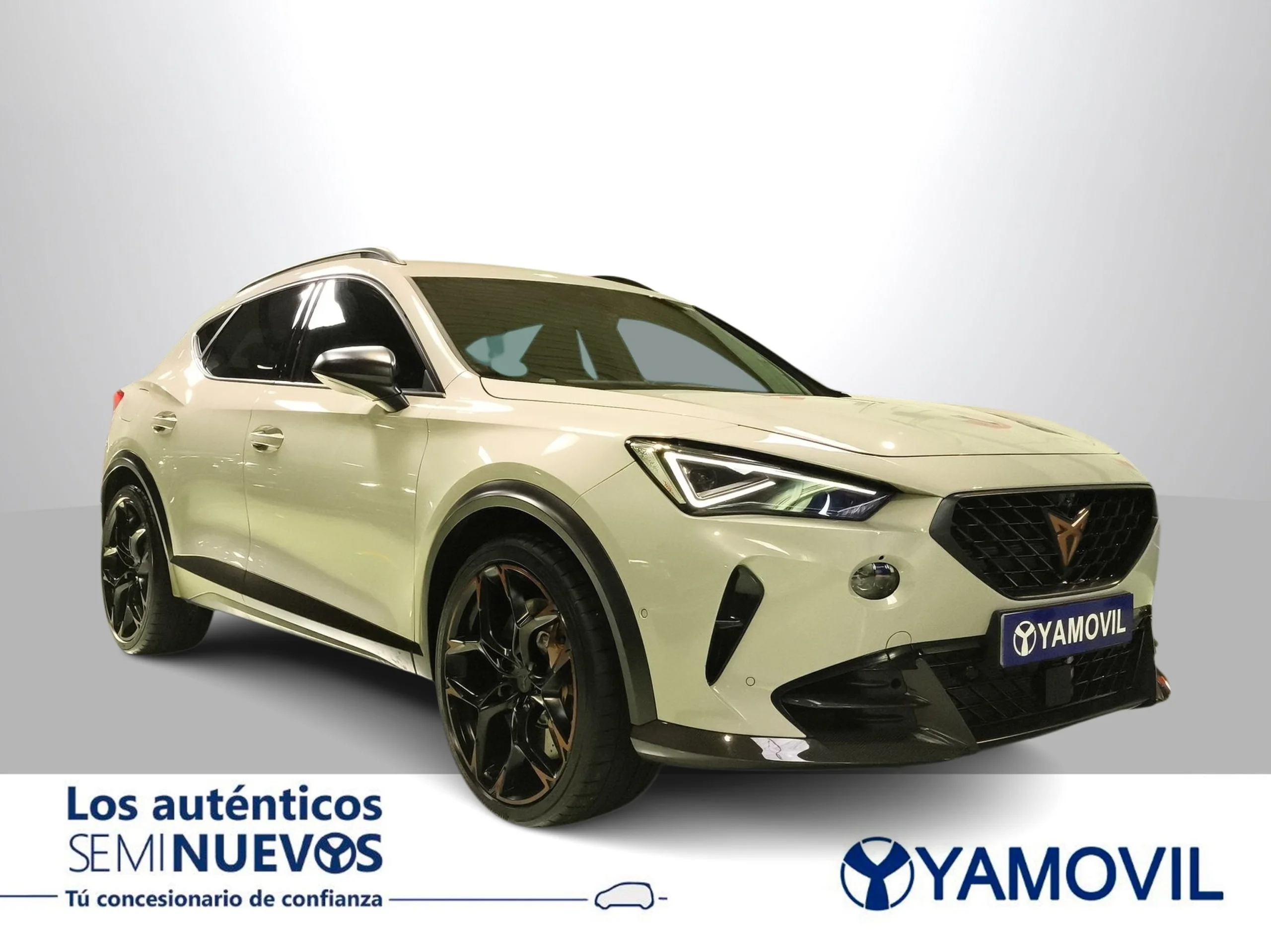 Cupra Formentor 2.5 TSI VZ5 4Drive DSG 287 kW (390 CV) - Foto 5