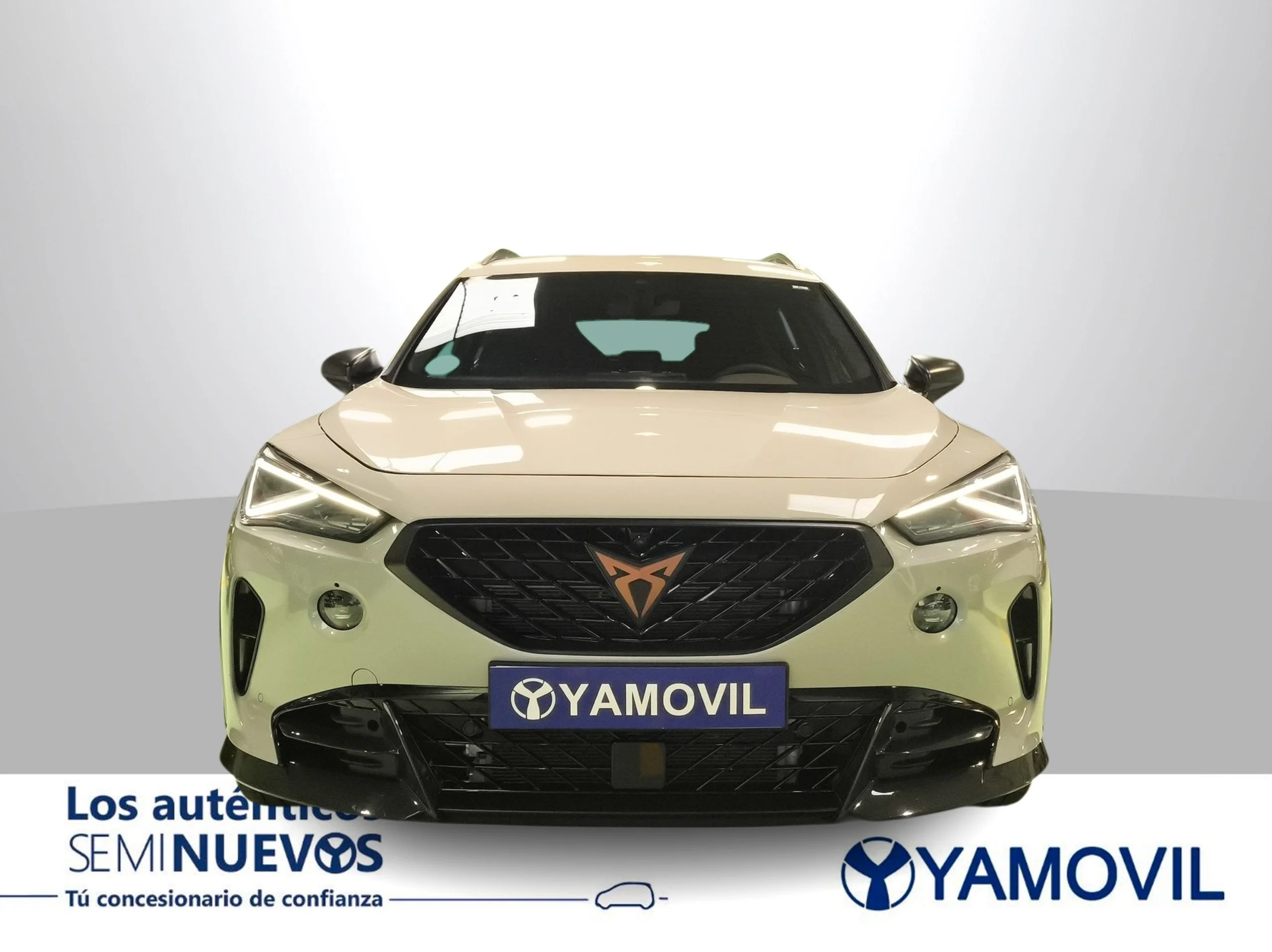 Cupra Formentor 2.5 TSI VZ5 4Drive DSG 287 kW (390 CV) - Foto 6