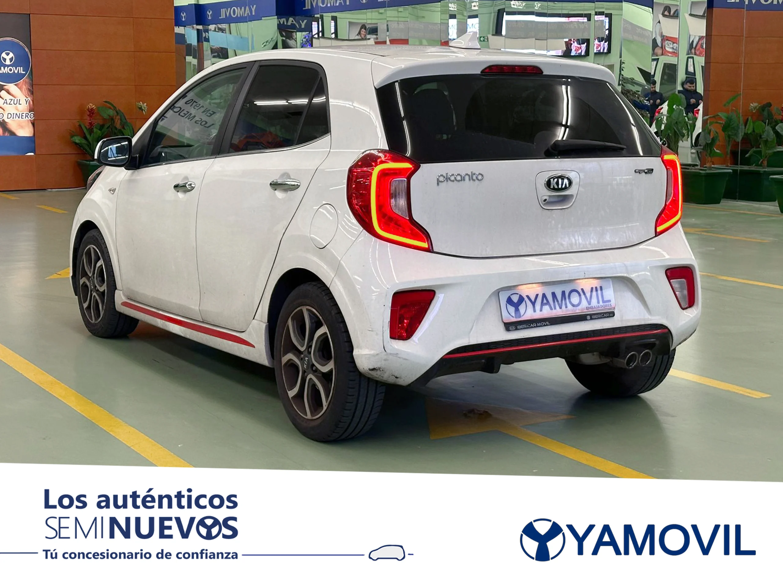 Kia Picanto 1.0 CVVT GT Line 49 kW (67 CV) - Foto 4