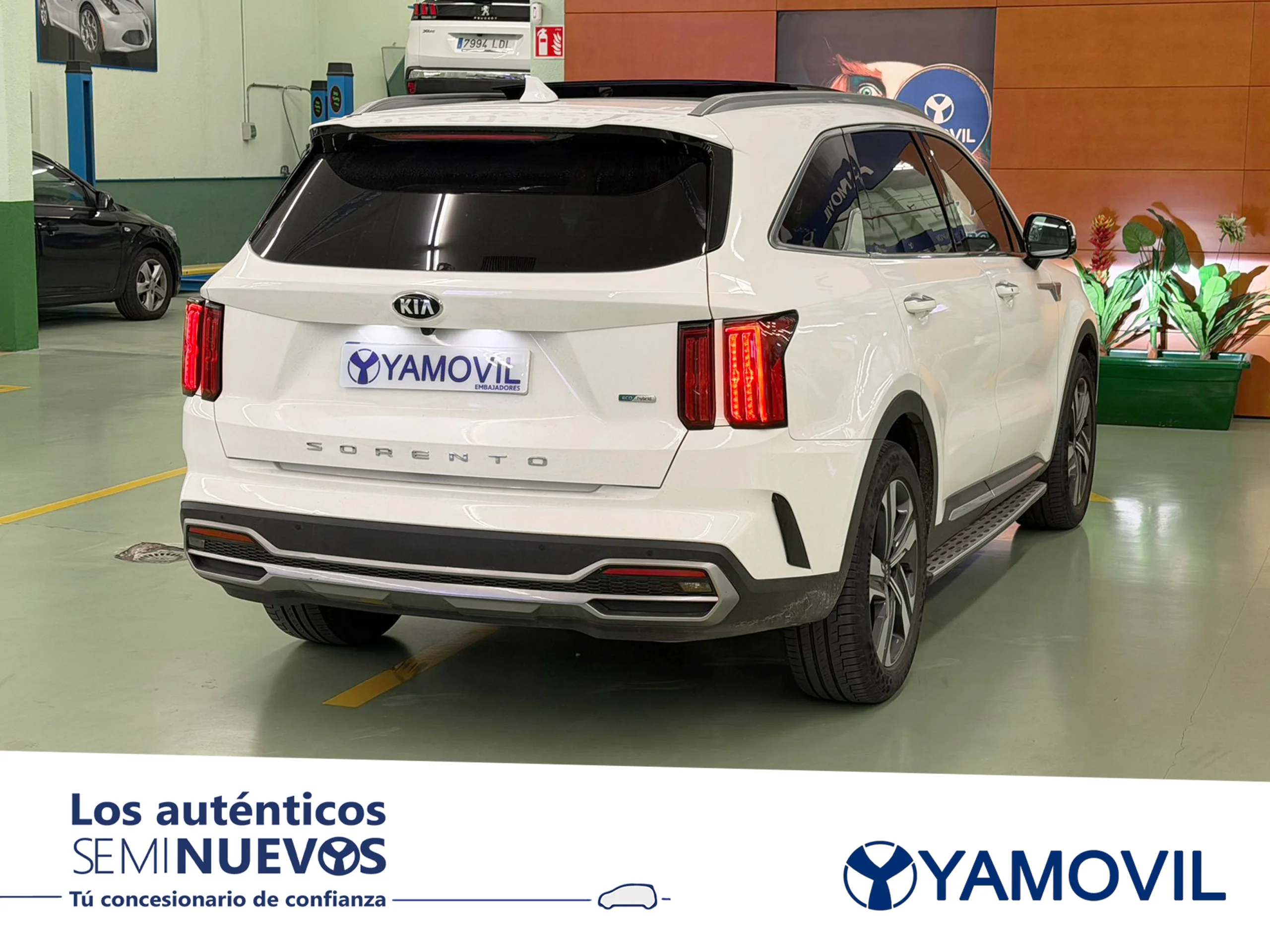 Kia Sorento 1.6 T-GDi HEV Emotion 4x2 169 kW (230 CV) - Foto 2