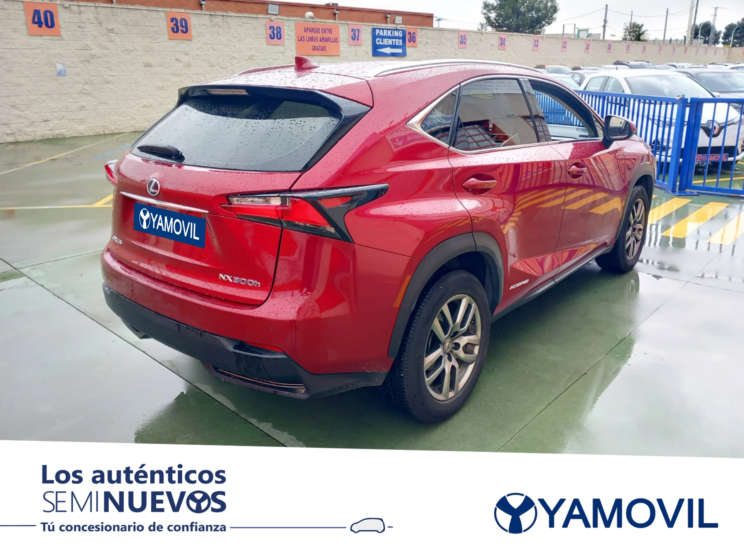 Lexus NX 300h Executive 4WD 145 kW (197 CV) - Foto 2