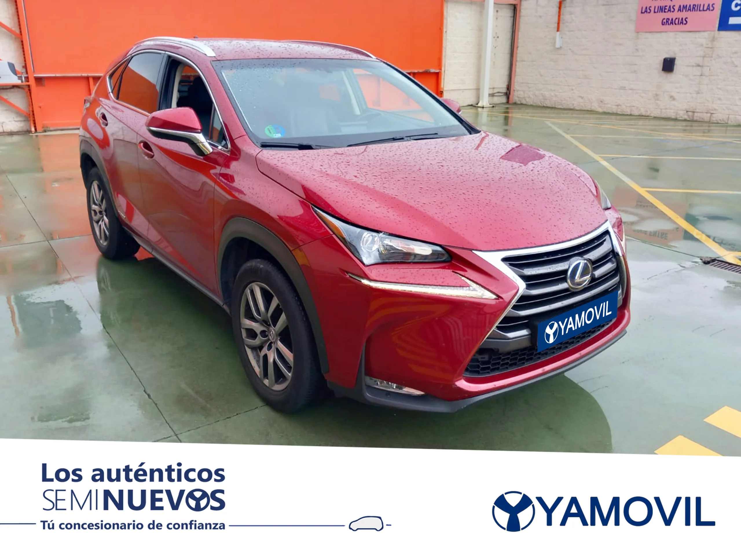 Lexus NX 300h Executive 4WD 145 kW (197 CV) - Foto 3