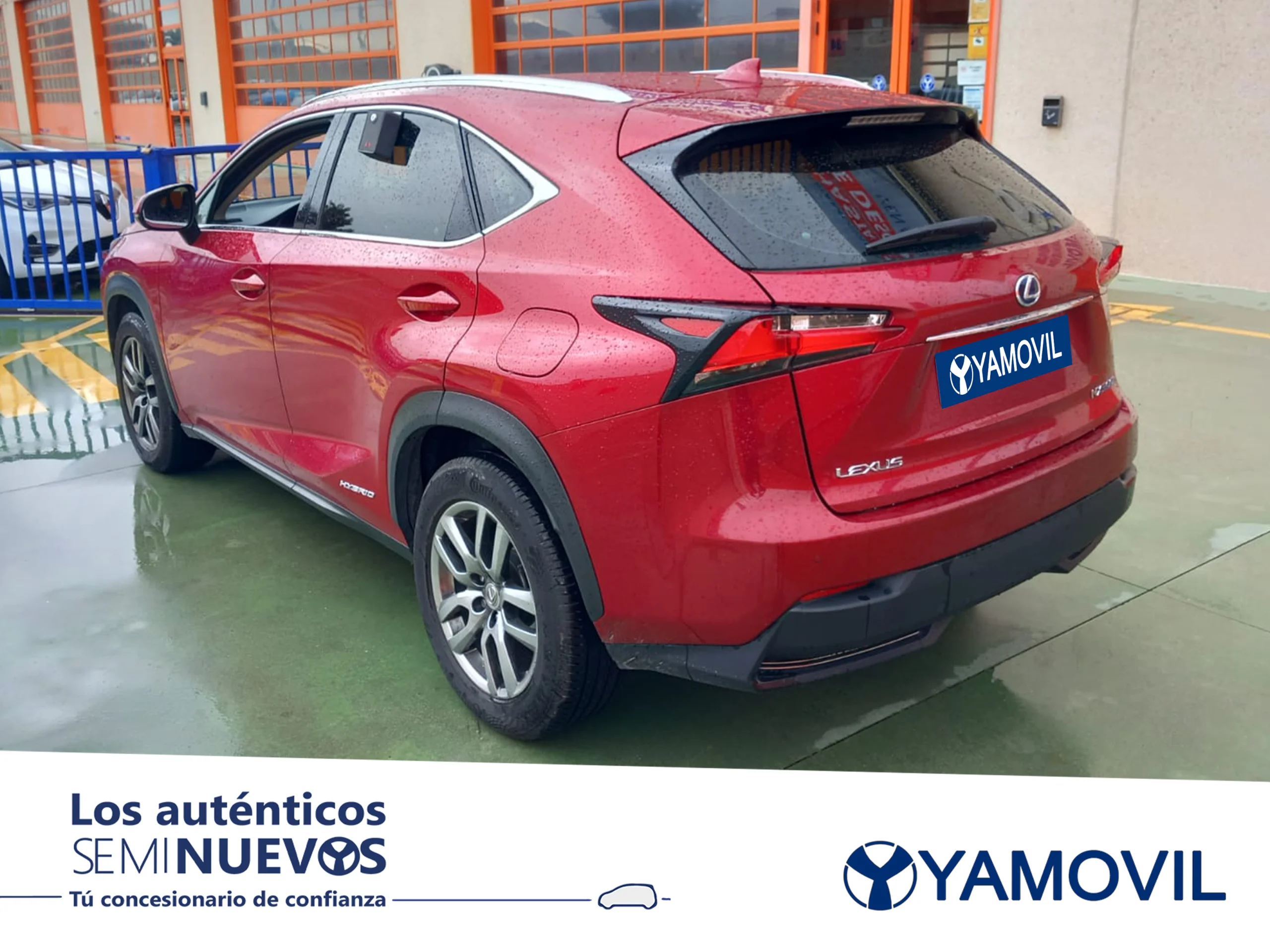 Lexus NX 300h Executive 4WD 145 kW (197 CV) - Foto 4