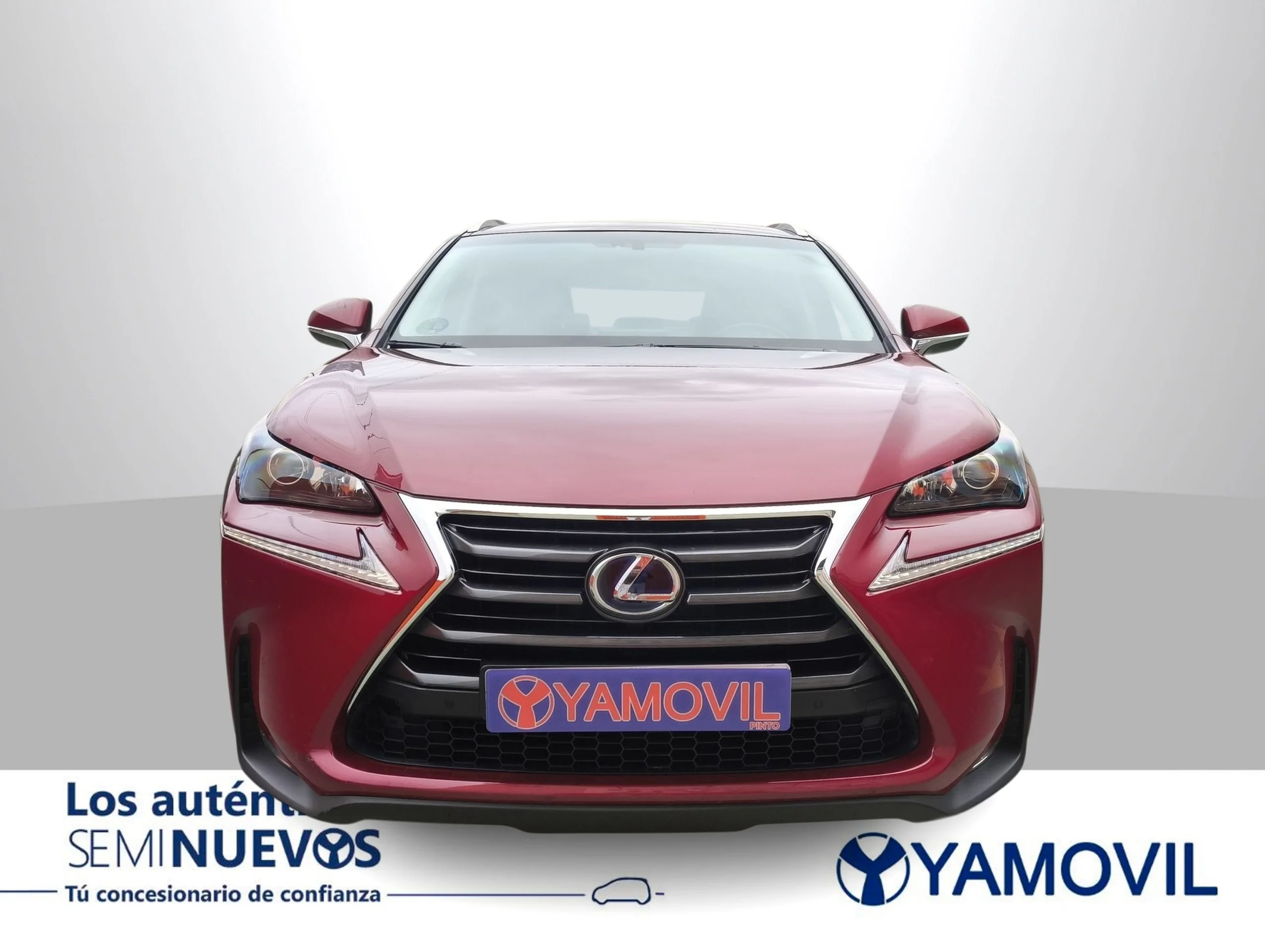 Lexus NX 300h Executive 4WD 145 kW (197 CV) - Foto 3