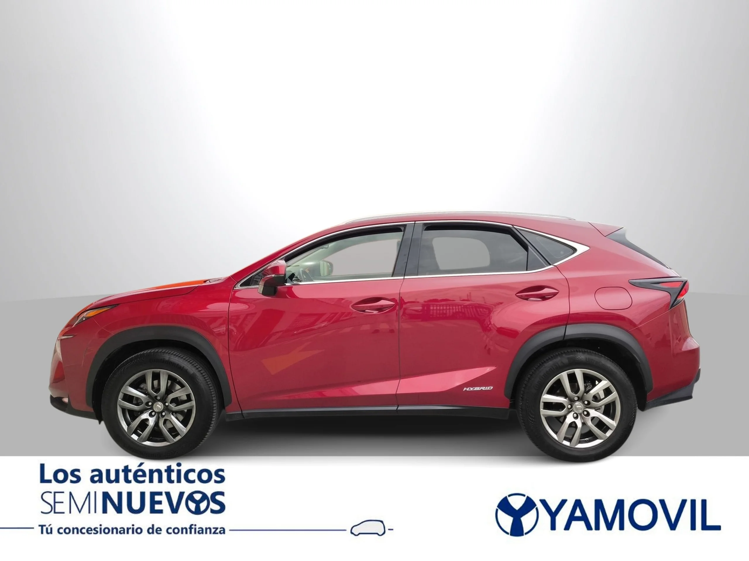Lexus NX 300h Executive 4WD 145 kW (197 CV) - Foto 4