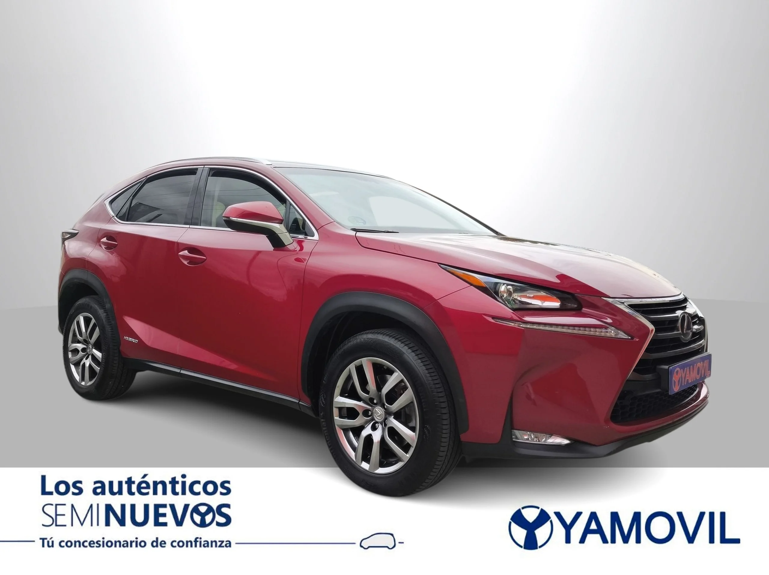 Lexus NX 300h Executive 4WD 145 kW (197 CV) - Foto 2
