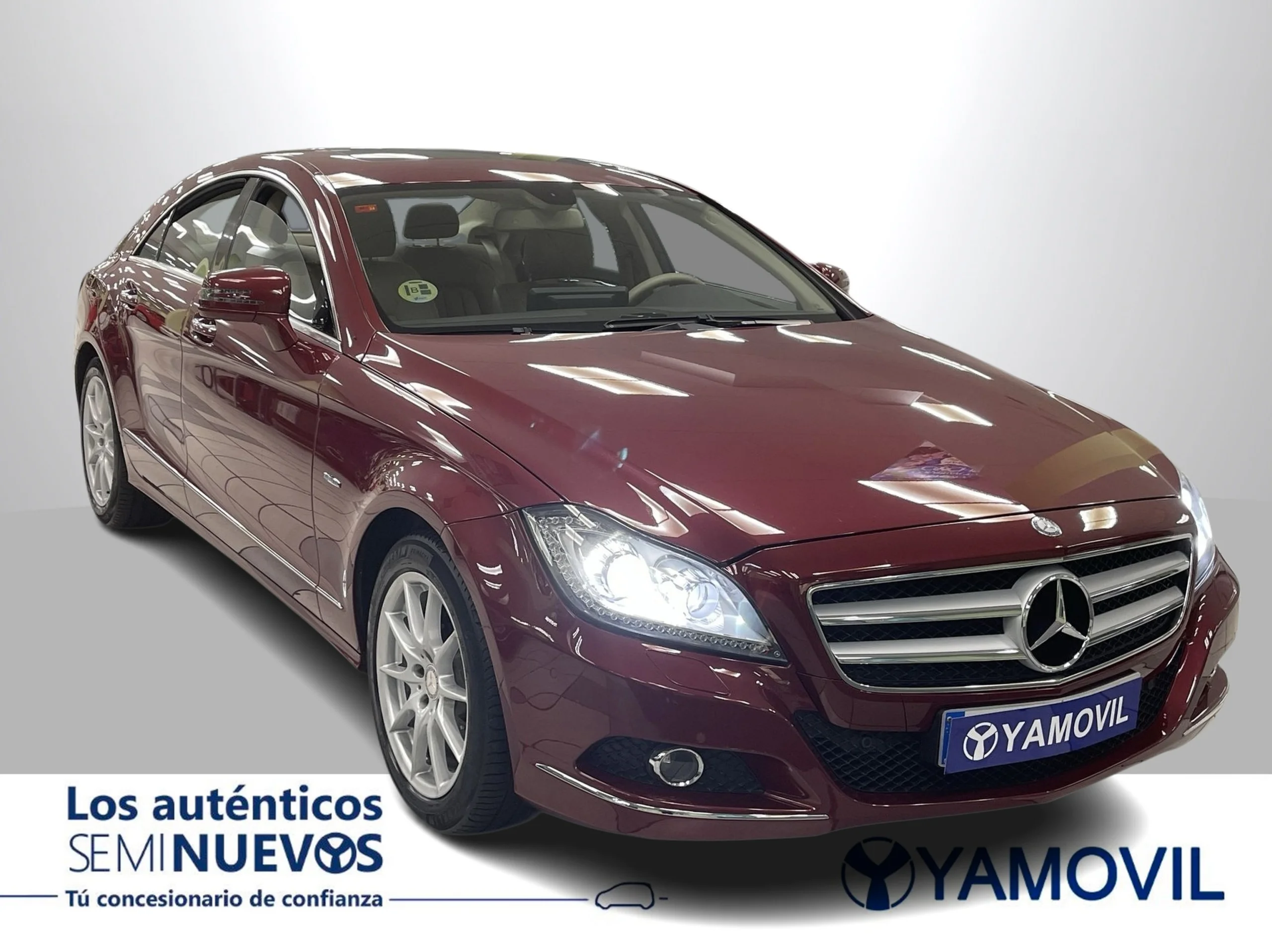 Mercedes-Benz Clase CLS CLS 350 CDI Blue Efficiency 195 kW (265 CV) - Foto 2