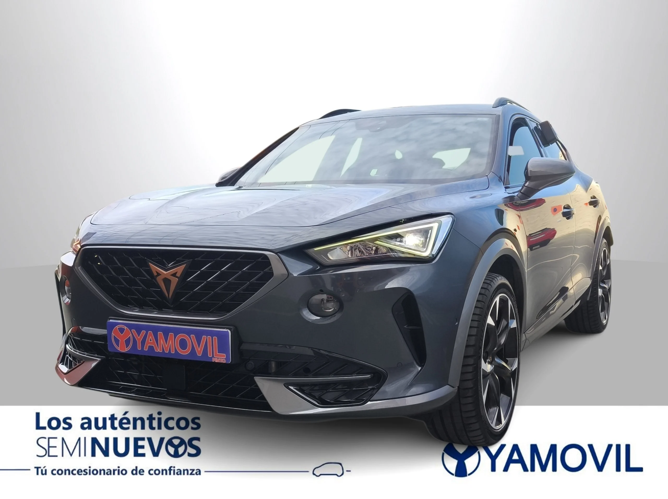 Cupra Formentor 2.0 TSI VZ 4Drive DSG 228 kW (310 CV) - Foto 1