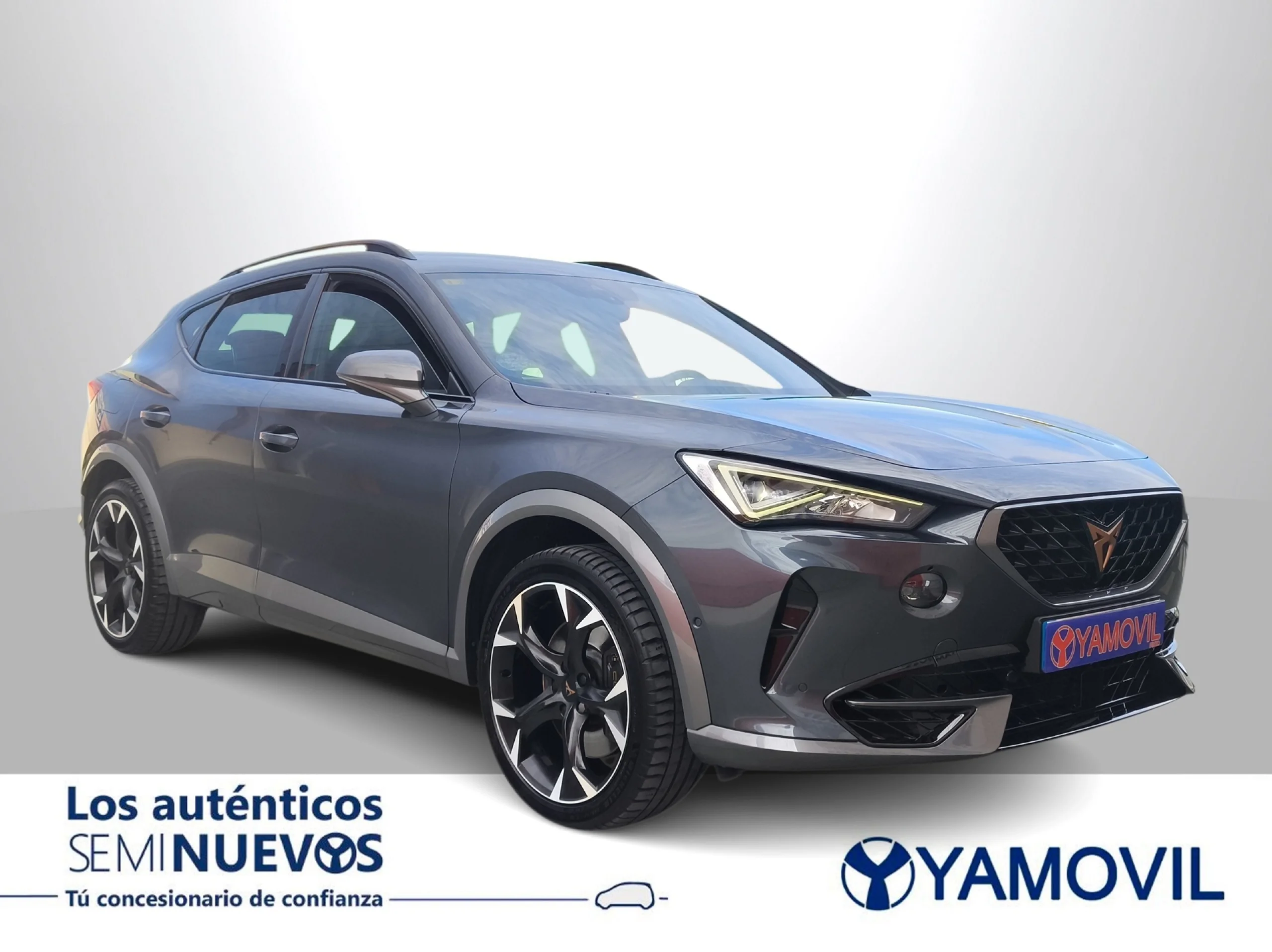 Cupra Formentor 2.0 TSI VZ 4Drive DSG 228 kW (310 CV) - Foto 2