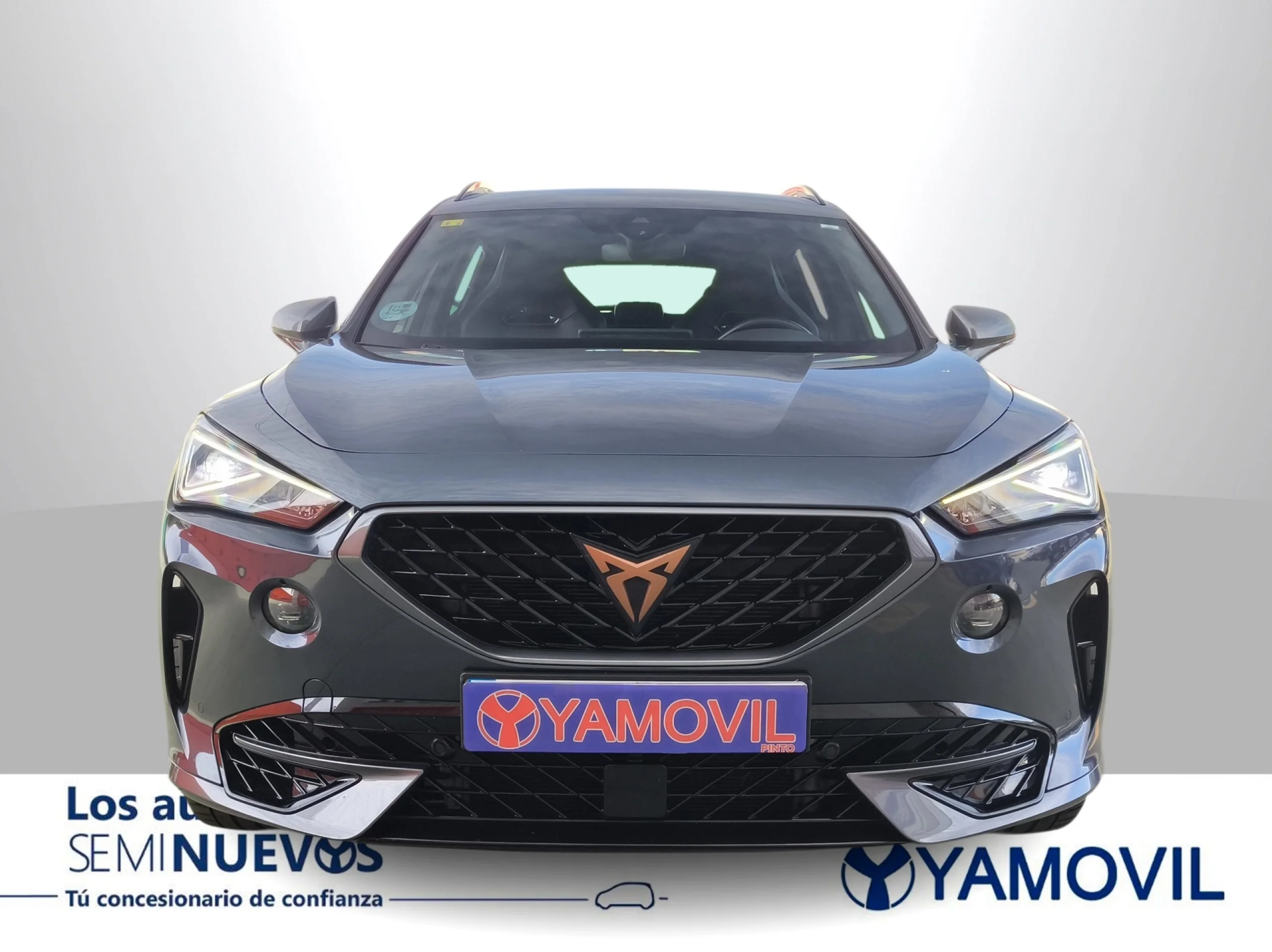 Cupra Formentor 2.0 TSI VZ 4Drive DSG 228 kW (310 CV) - Foto 3