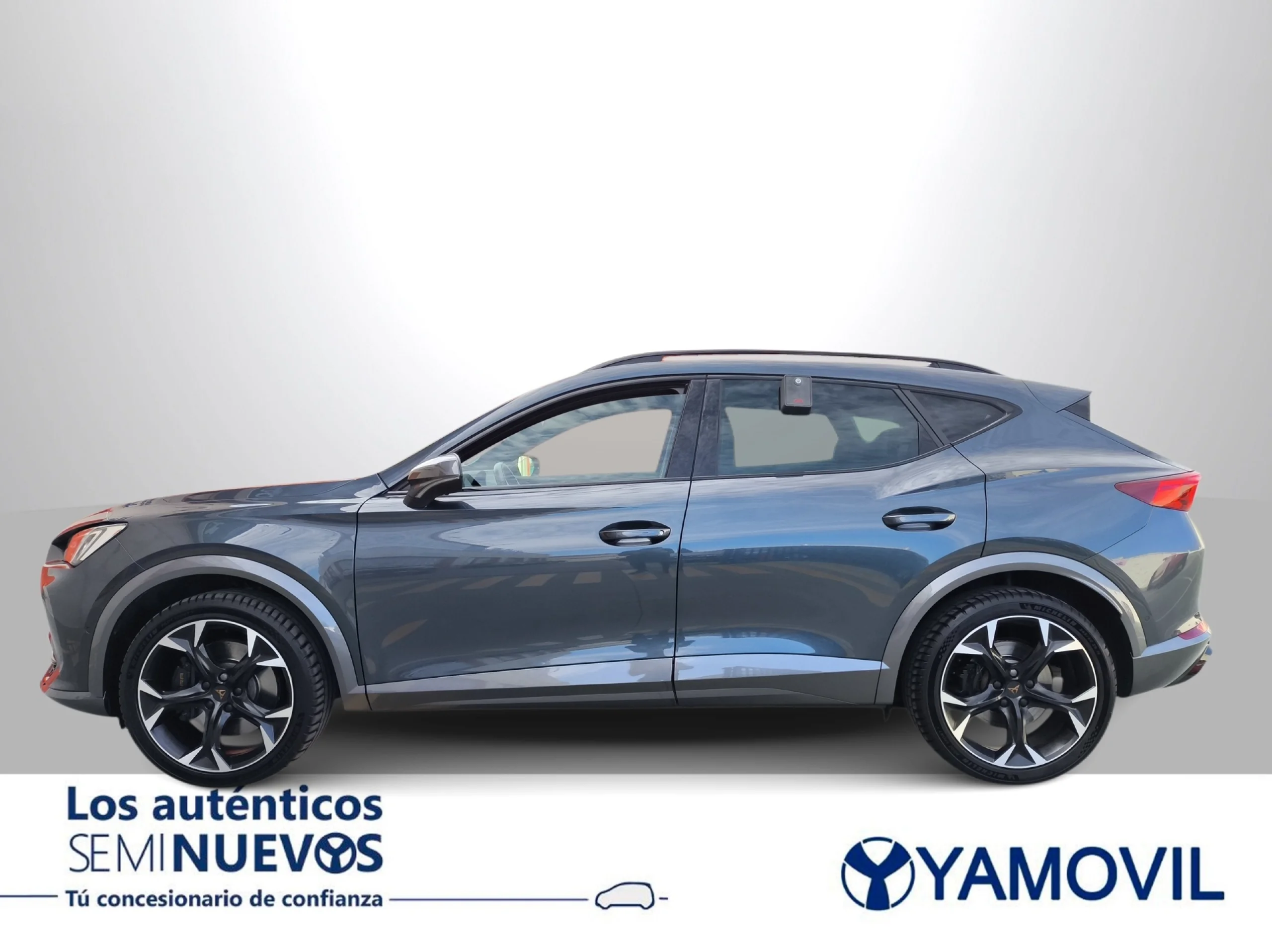 Cupra Formentor 2.0 TSI VZ 4Drive DSG 228 kW (310 CV) - Foto 4