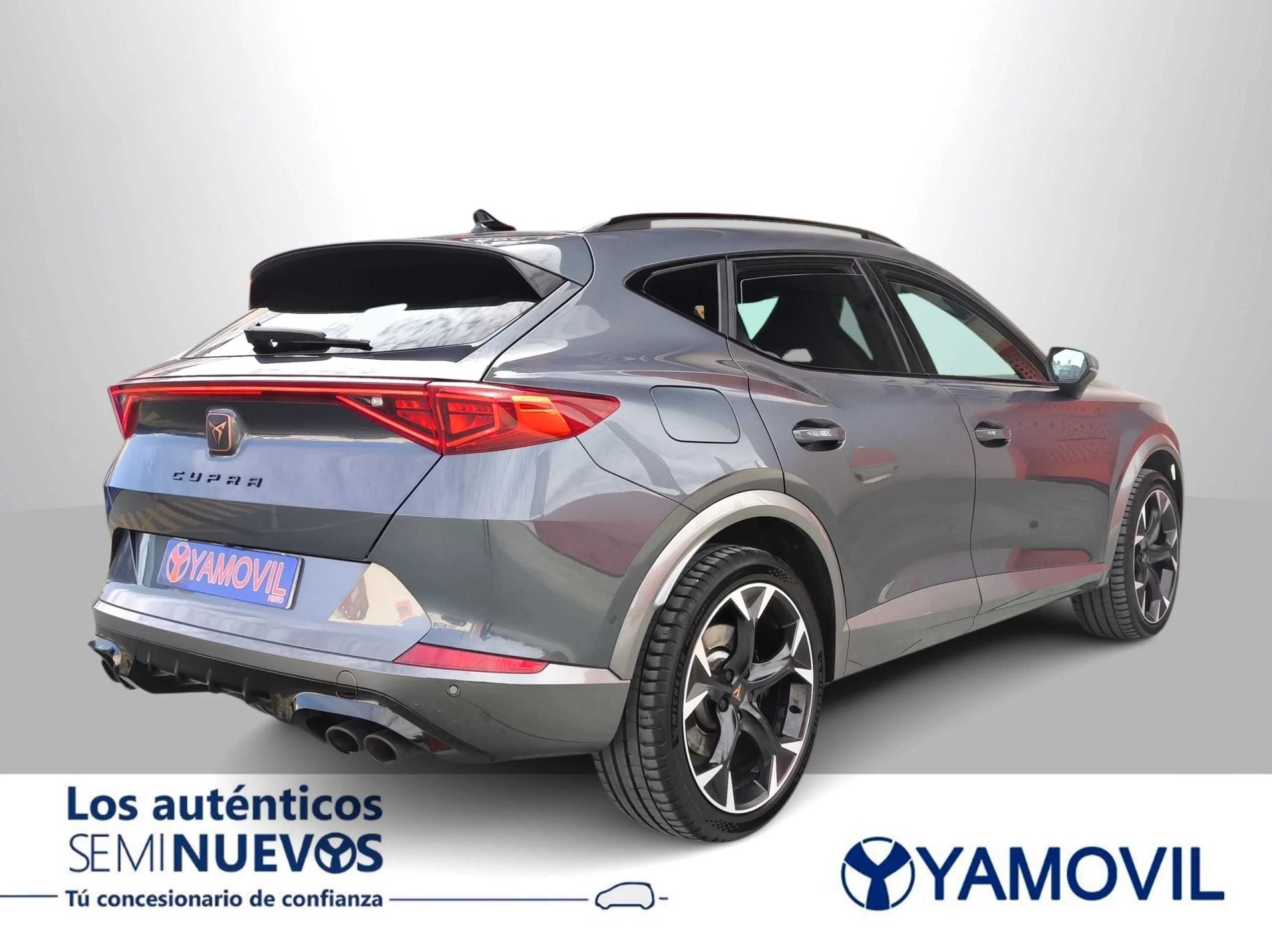 Cupra Formentor 2.0 TSI VZ 4Drive DSG 228 kW (310 CV) - Foto 6