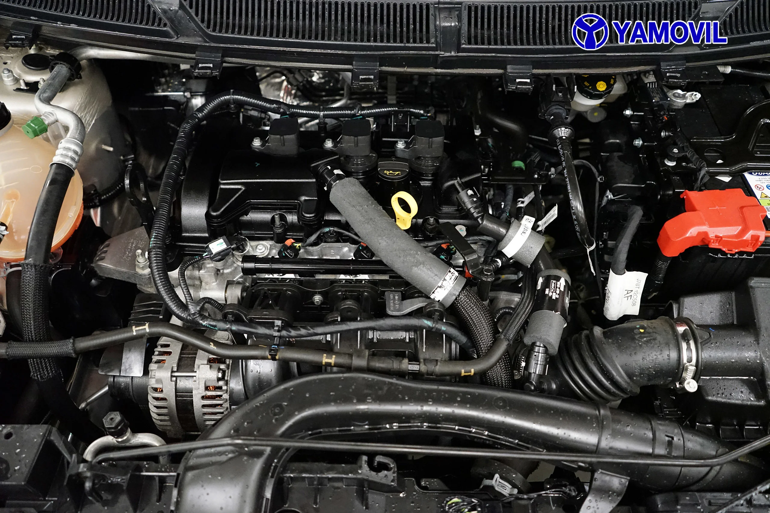 Ford Ka+ 1.2 Ti-VCT Ultimate 63 kW (85 CV) - Foto 7