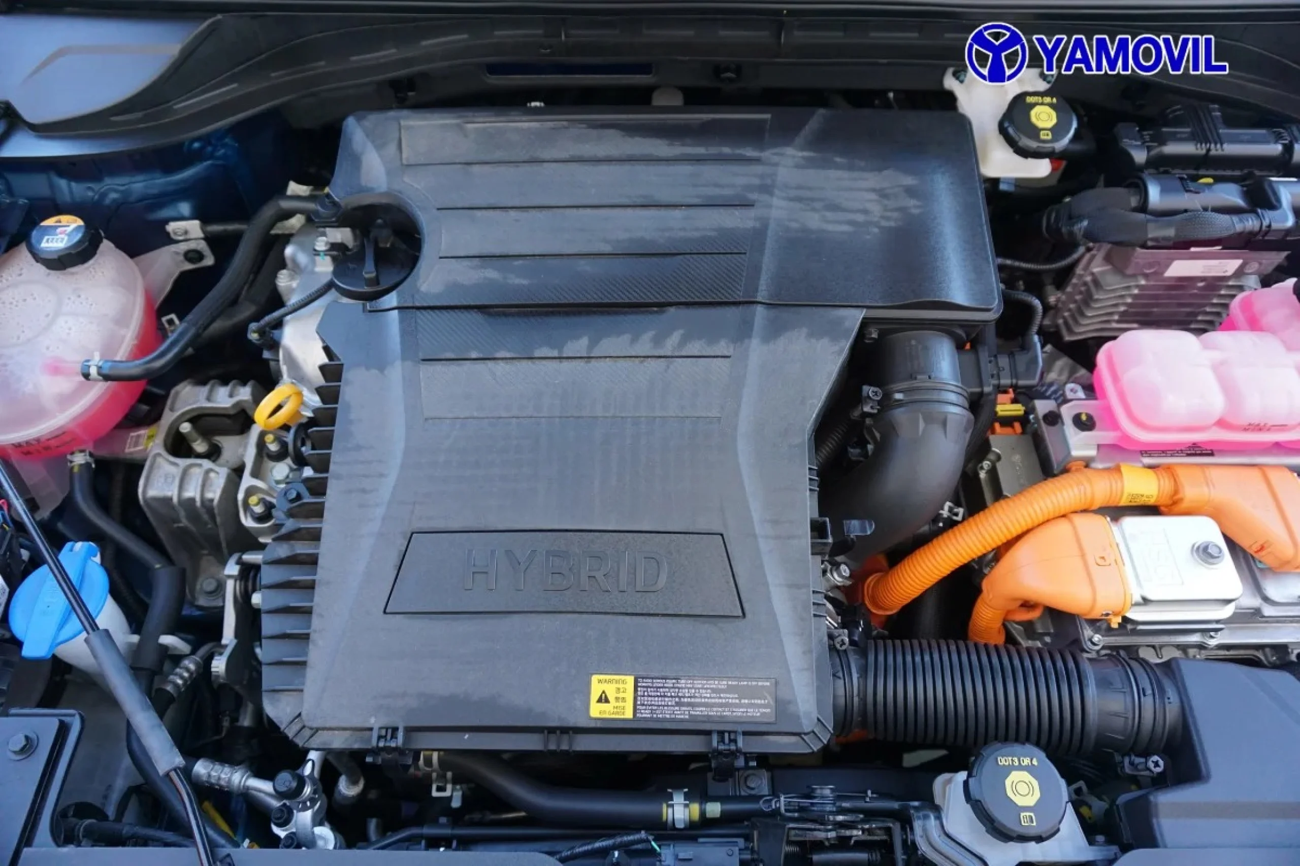 Kia Niro 1.6 GDi HEV Híbrido Emotion 104 kW (141 CV) - Foto 8