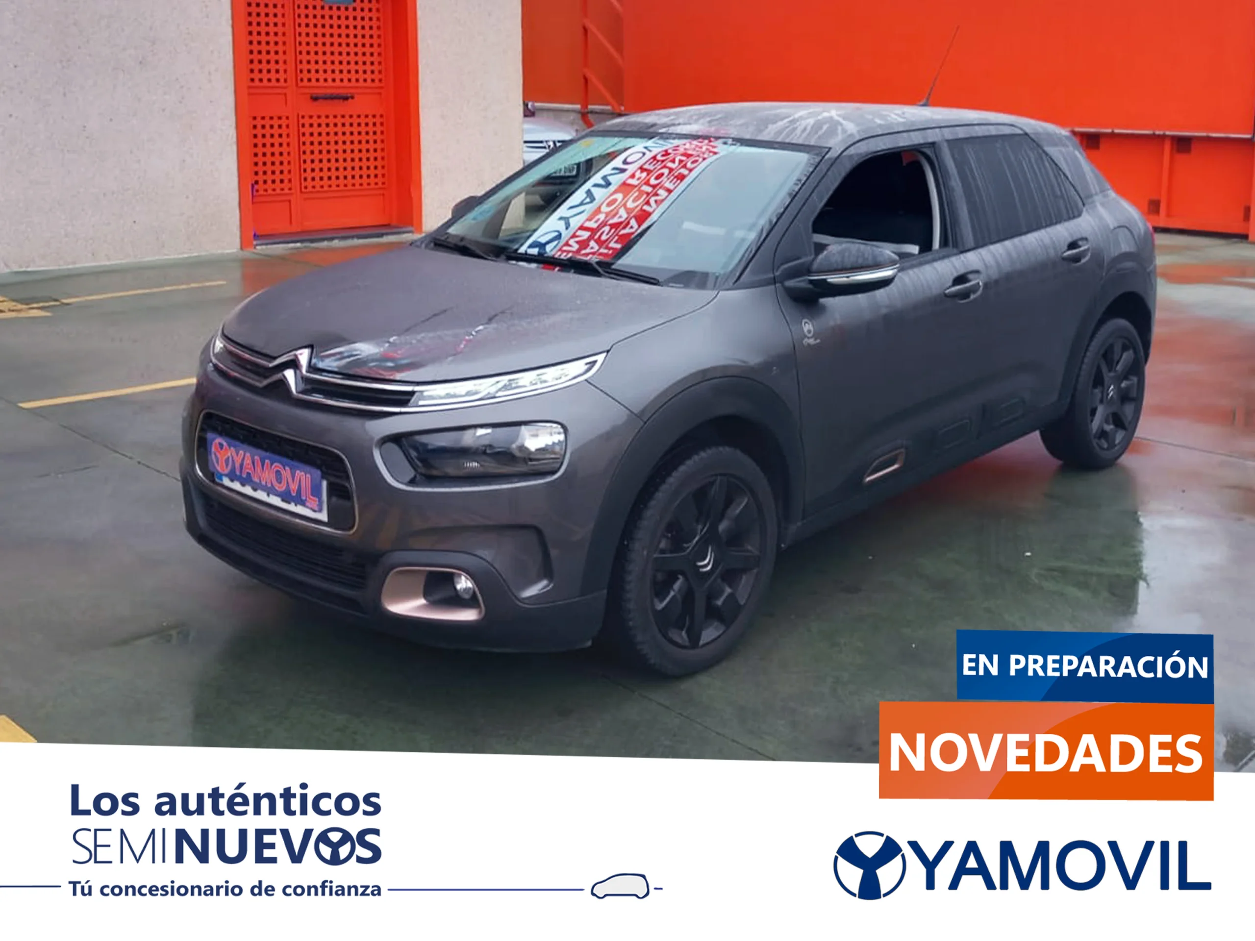 Citroen C4 Cactus PureTech 110 SANDS Origins 81 kW (110 CV) - Foto 1
