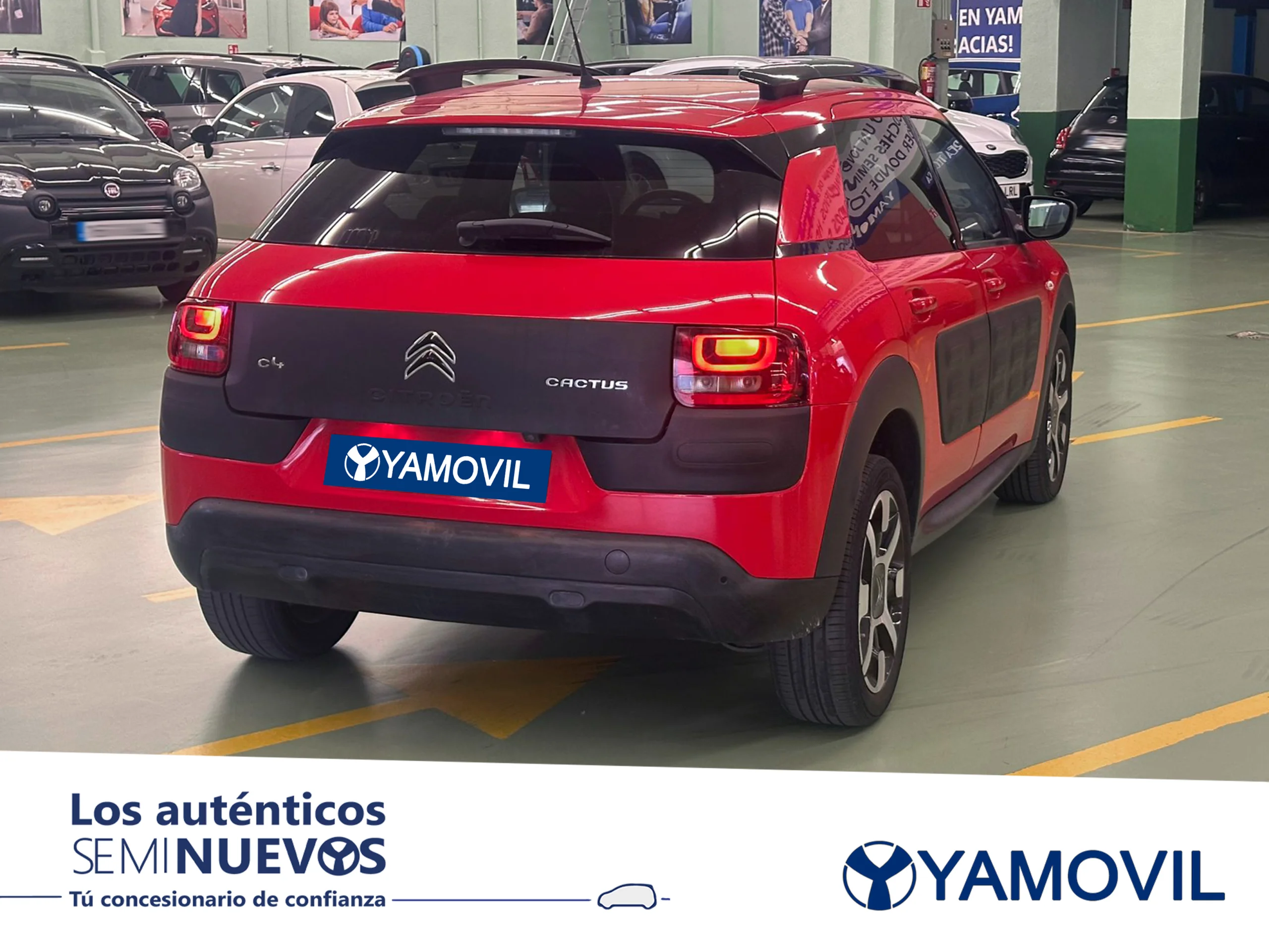 Citroen C4 Cactus PureTech 110 SANDS Shine 81 kW (110 CV) - Foto 2
