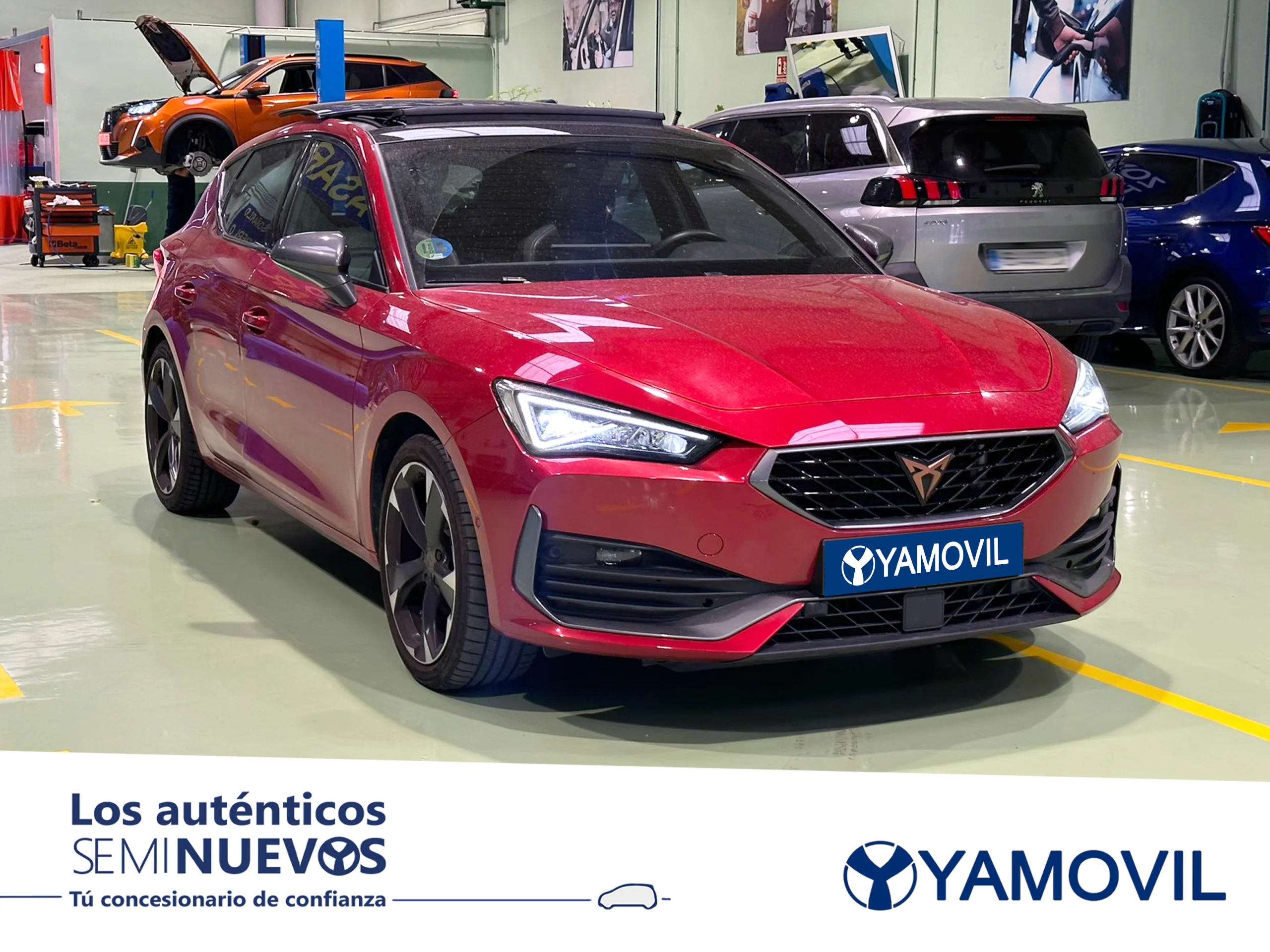 Cupra León 1.5 eTSI DSG 110 kW (150 CV) - Foto 3