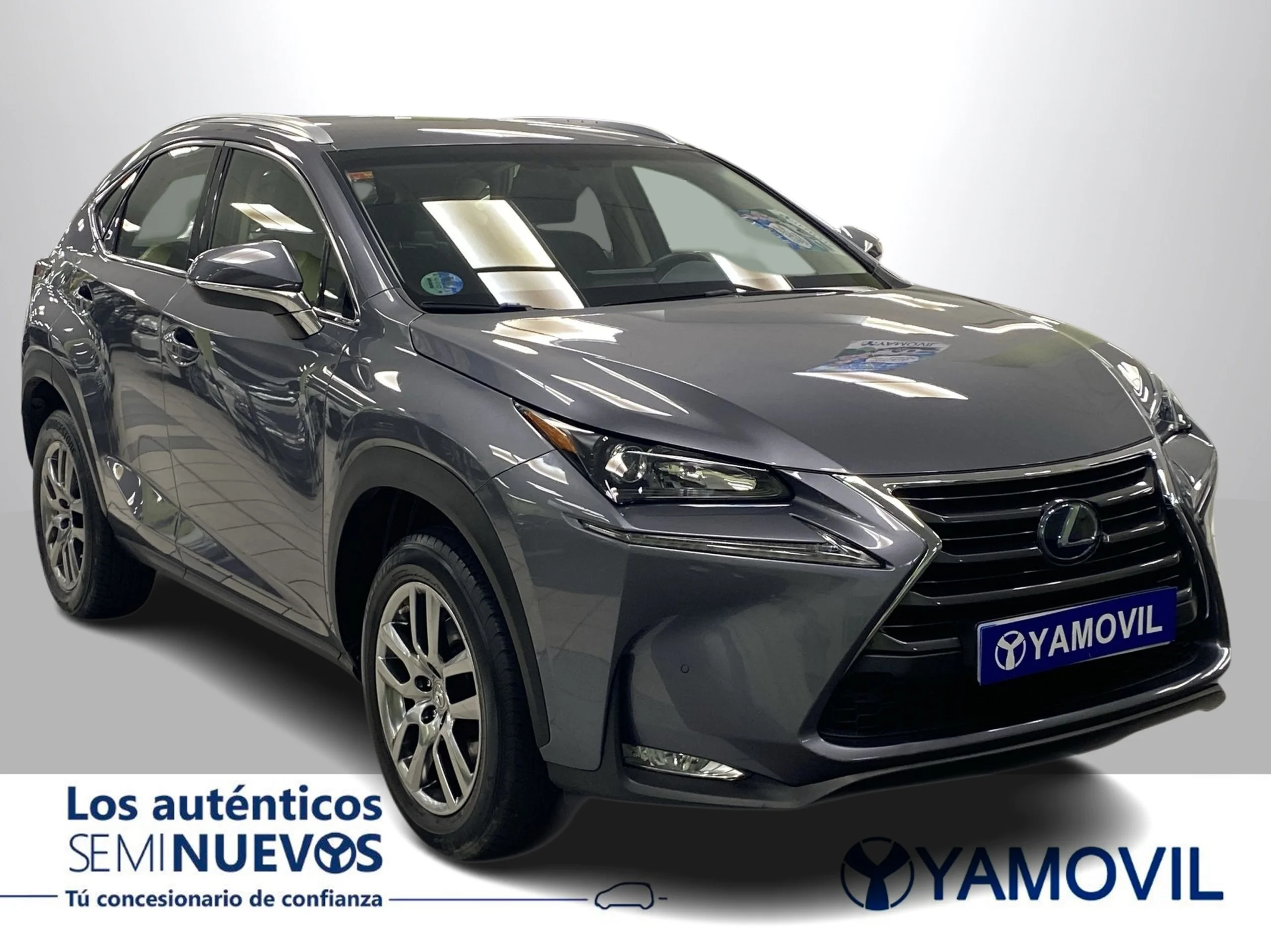 Lexus NX 300h Executive Tecno 4WD 145 kW (197 CV) - Foto 2
