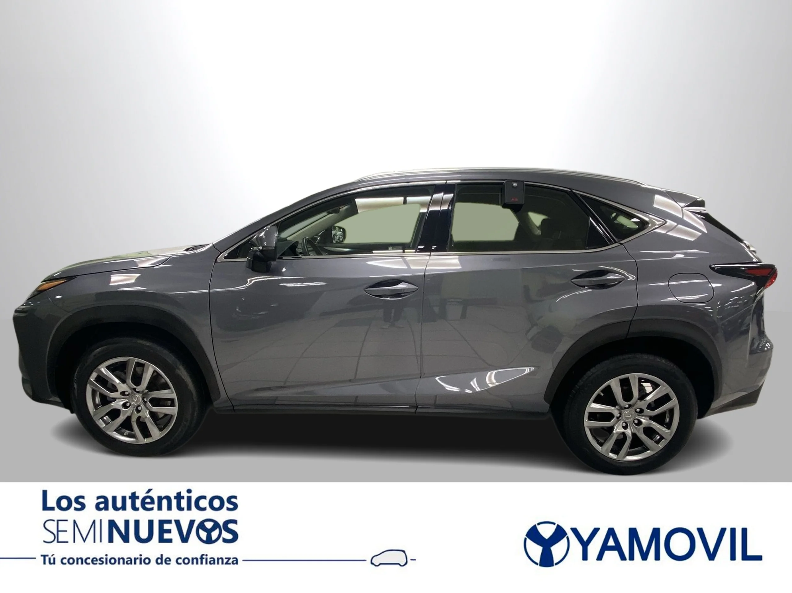 Lexus NX 300h Executive Tecno 4WD 145 kW (197 CV) - Foto 4