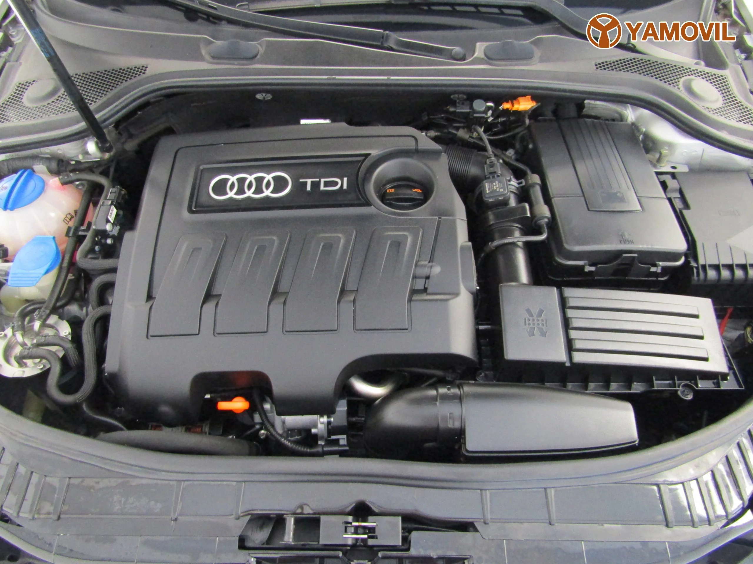 Audi A3 1.6 TDI SPORTBACK - Foto 8