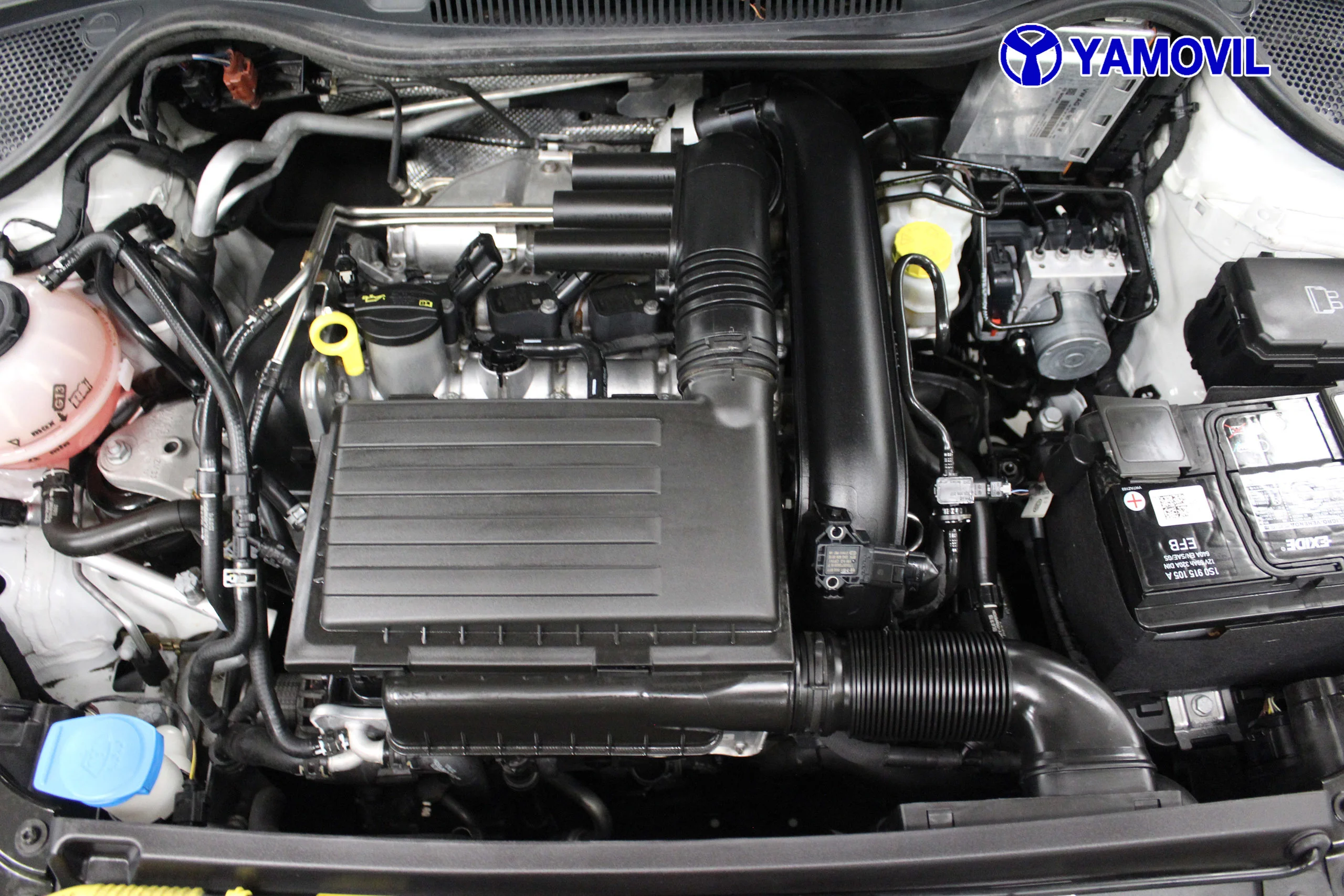 Volkswagen Polo A-Polo Plus 1.2 TSI BMT 66 kW (90 CV) - Foto 8