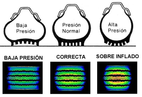 presiones-nematicos-650x207